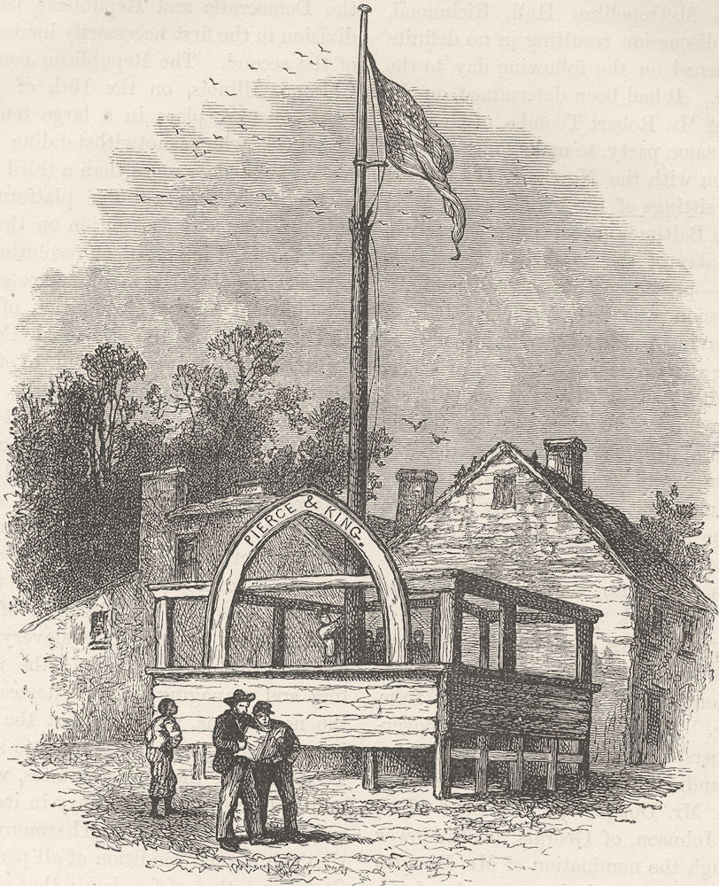 USA. An American Stump c1880 old antique vintage print picture
